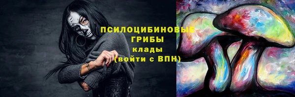прущие крисы Верхний Тагил
