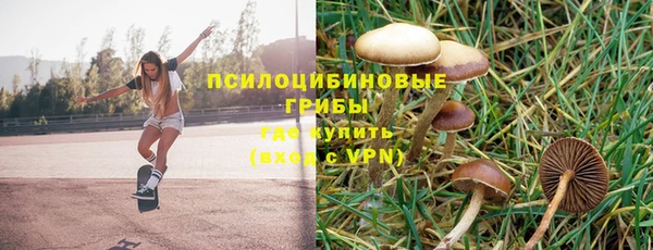 скорость Бронницы