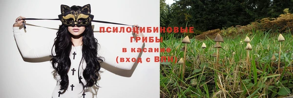 соль курить ск Бородино