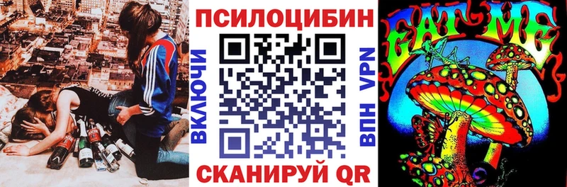 наркота  hydra ССЫЛКА  Псилоцибиновые грибы MAGIC MUSHROOMS  Дигора 